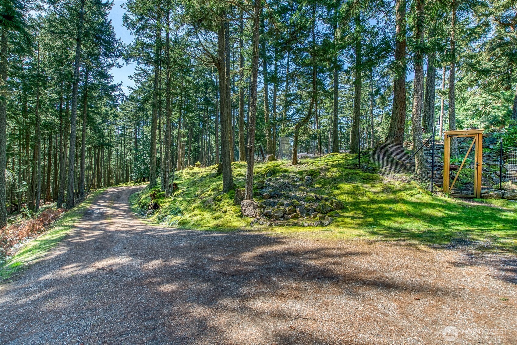 424 Logan's Run Road Orcas Island, WA 98245 - Photo 3 of 39