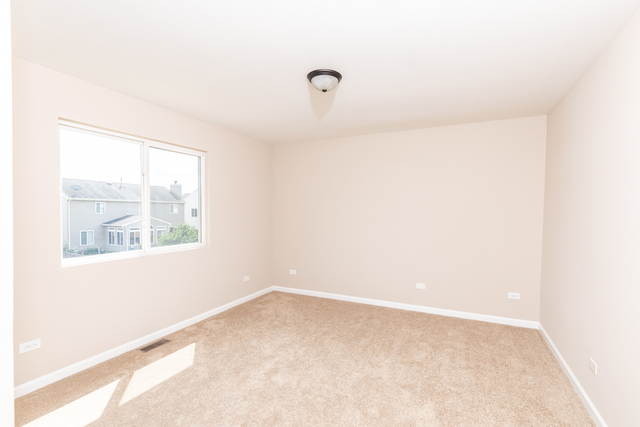6218 Meadow Ridge Drive Plainfield, IL 60586 - Photo 19 of 28