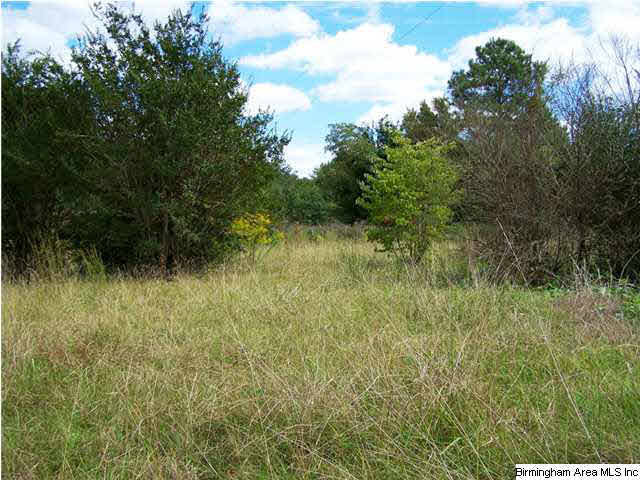 2231 Camp Brownie Road, Unit 5 AC Sylacauga, AL 35151 - Photo 9 of 15