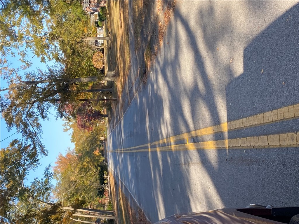 0 Brook/hampton Avenue Honea Path, SC 29654 - Photo 3 of 3