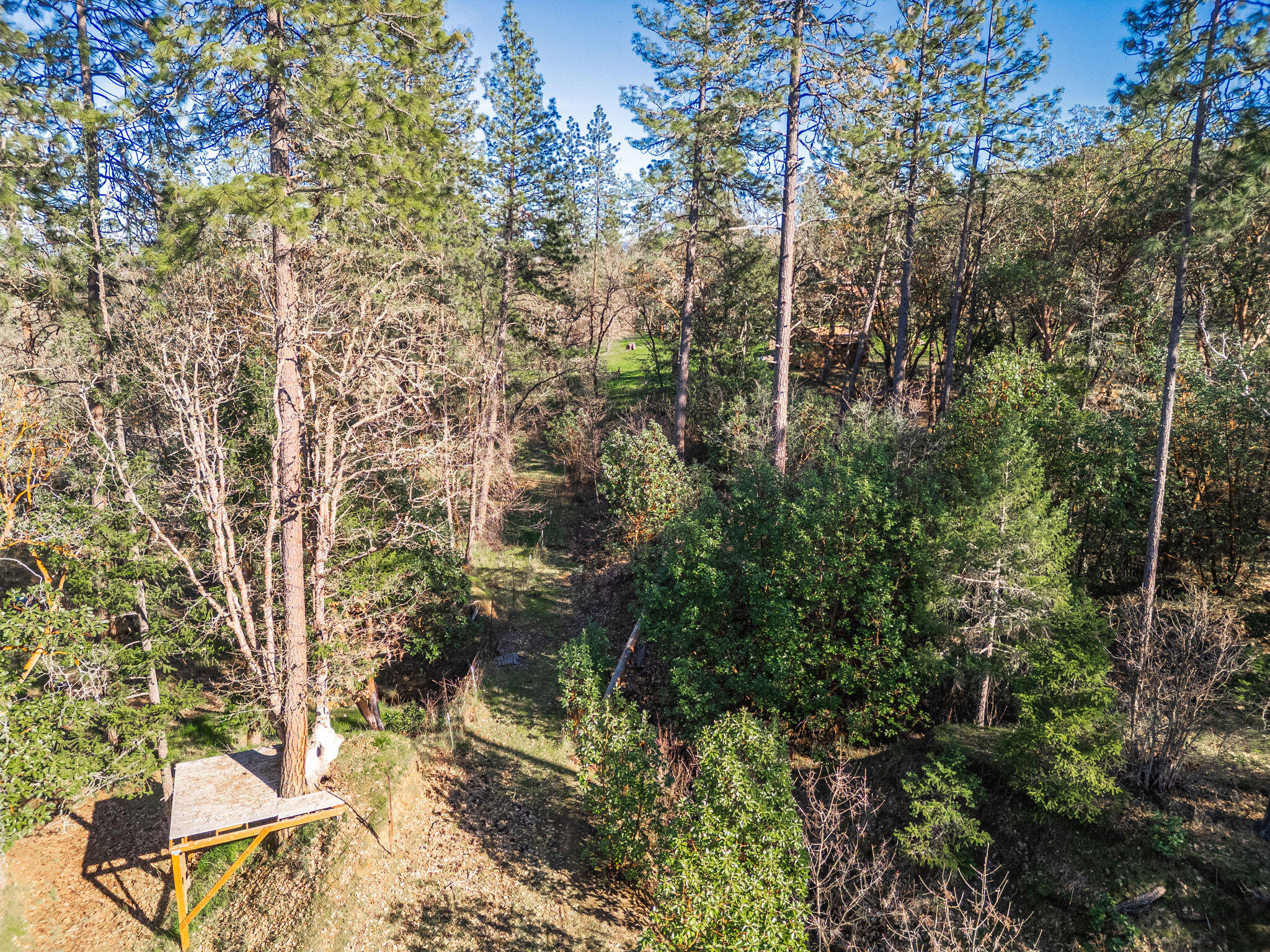 5009 Lane Creek Road, Unit PARCEL 3 Central Point, OR 97502 - Photo 31 of 38