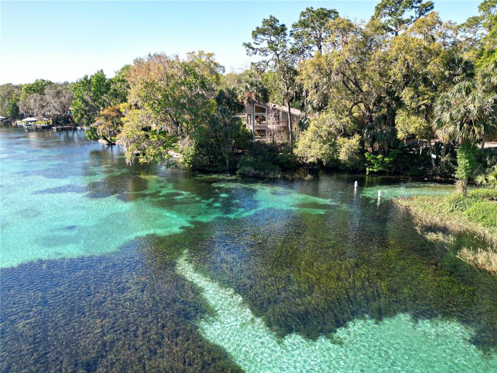 19535 Southwest 77th Loop Dunnellon, FL 34432 - Photo 83 of 91 Gallery Image 83