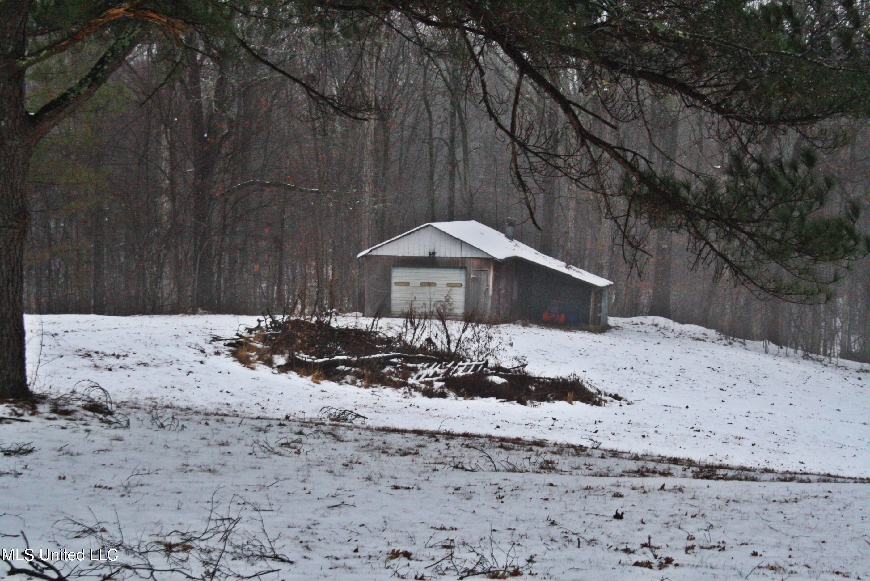 1334 Brownlee Road Sarah, MS 38665 - Photo 23 of 24 outbuilding