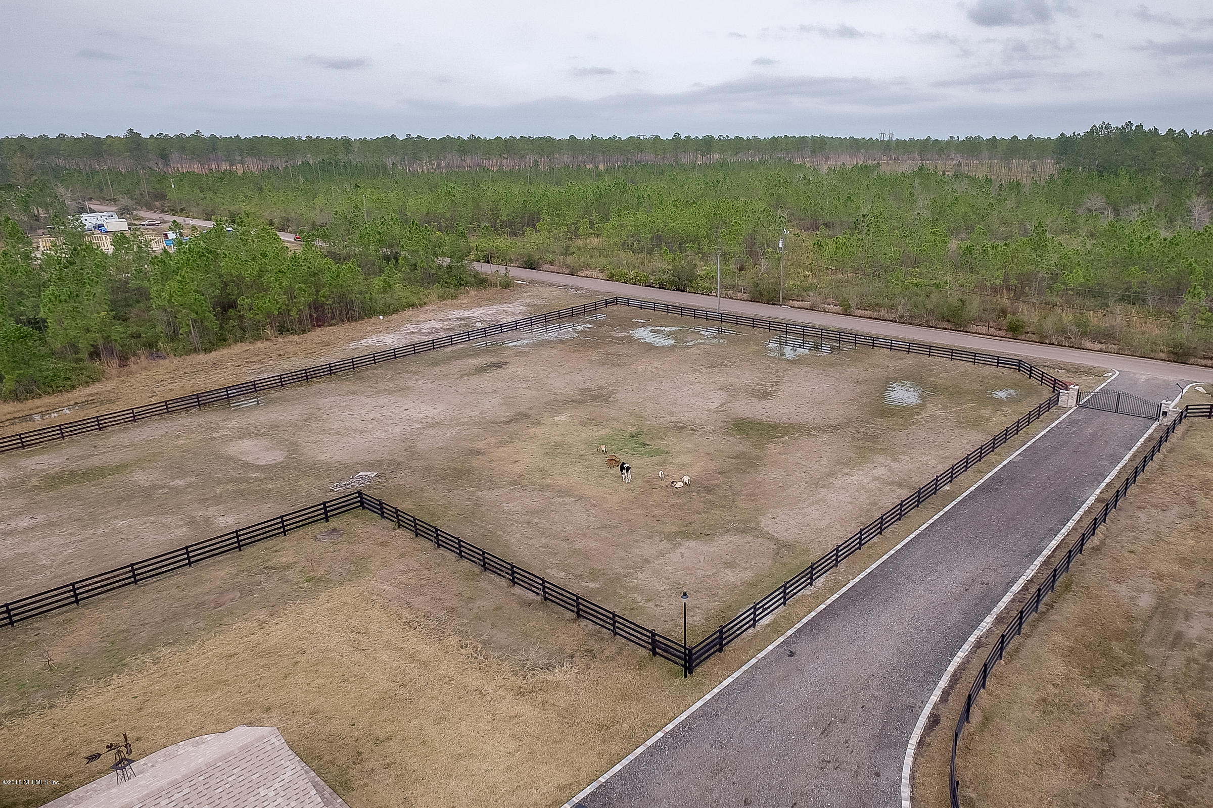 15252 Forest Trail Road Jacksonville, FL 32234 - Photo 40 of 51 Front_Paddock_2