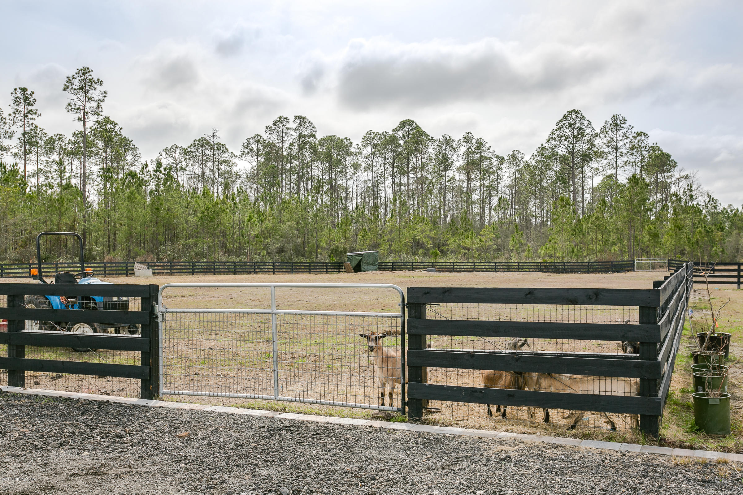 15252 Forest Trail Road Jacksonville, FL 32234 - Photo 45 of 51 Zoned_for_Livestock