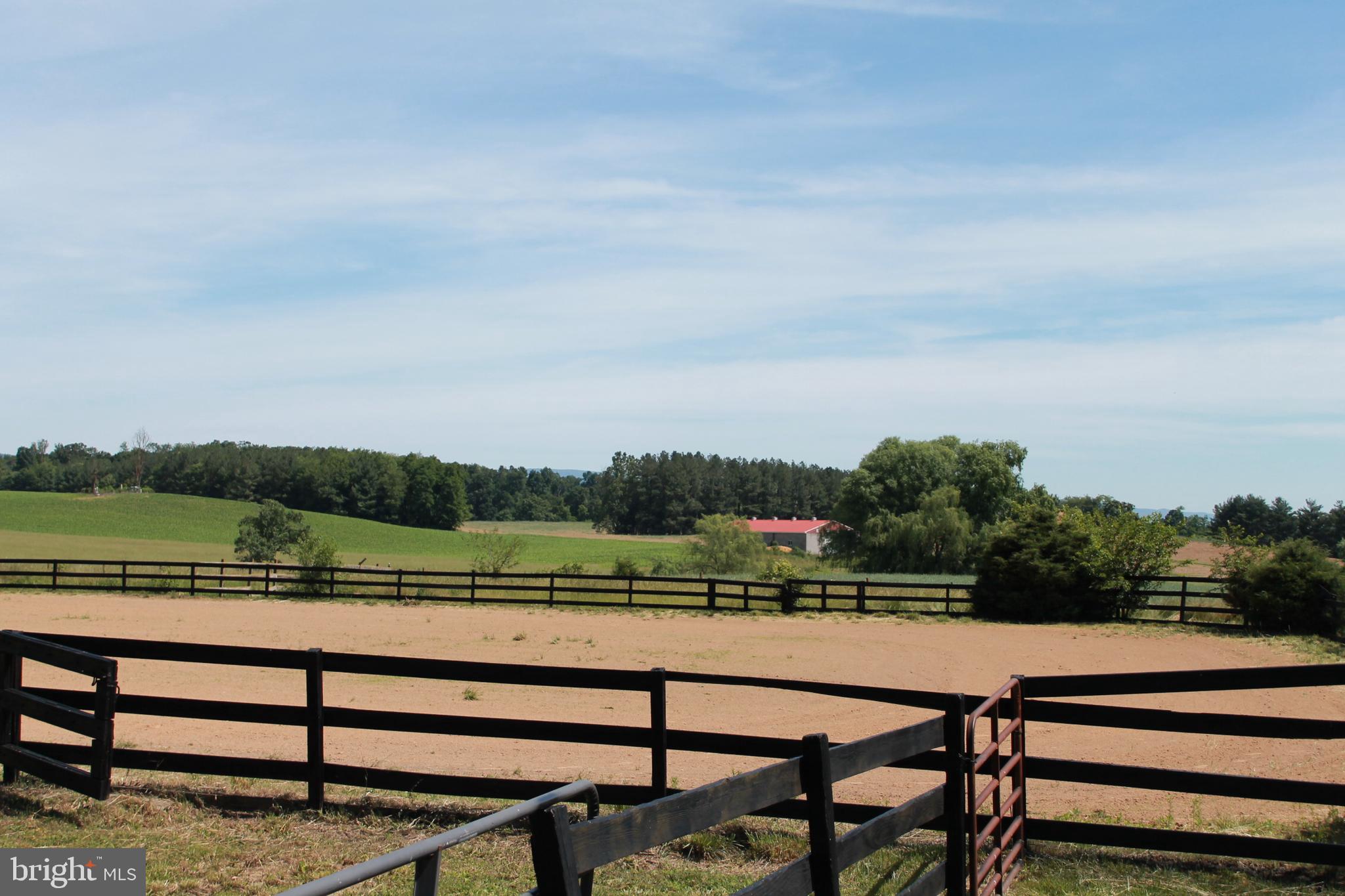 1615 Pleasant View Road Mount Jackson, VA 22842 - Photo 11 of 131 Riding Arena
