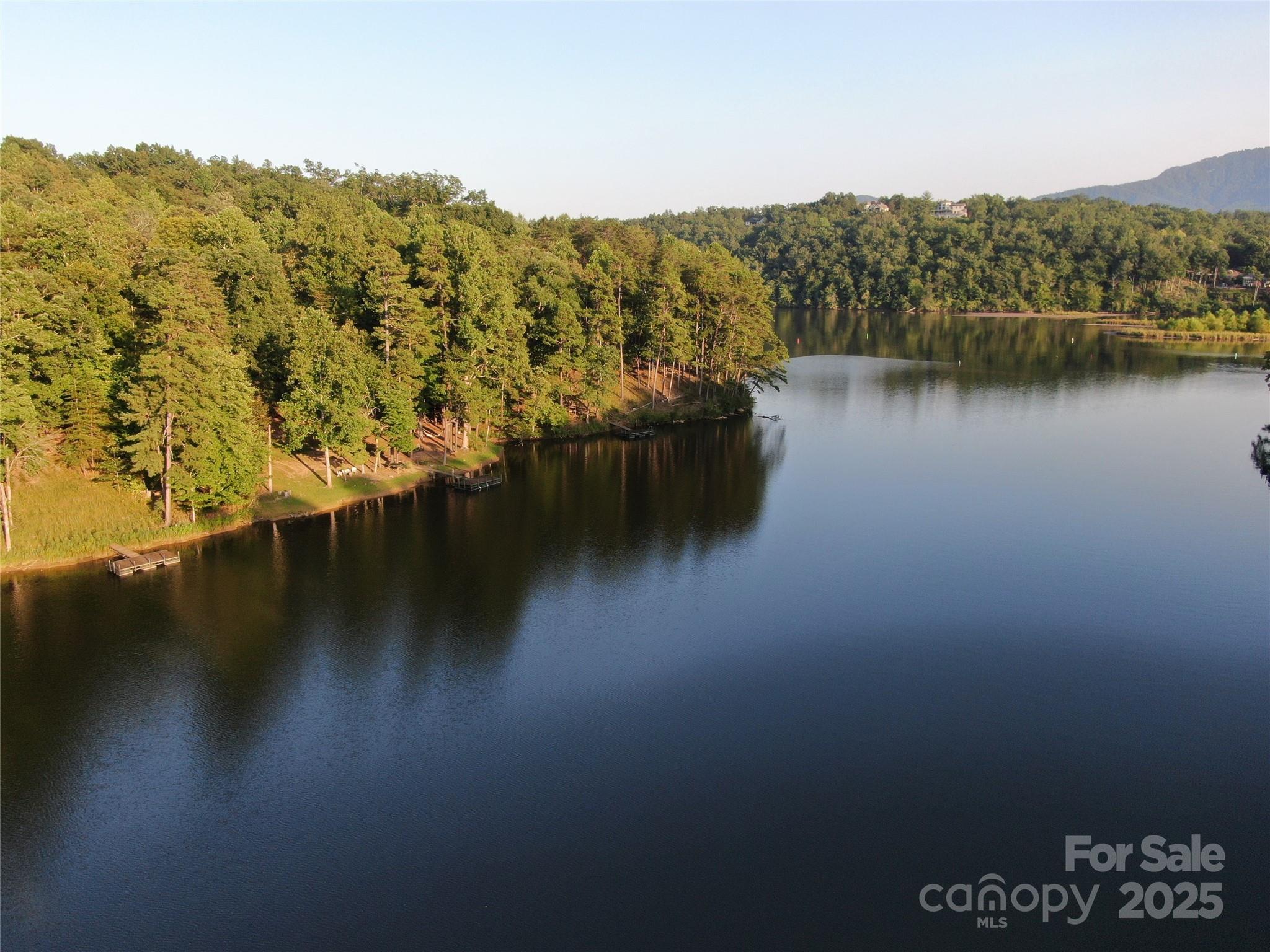0 Parkway North Rd Mill Spring, Unit LOT 7 Mill Spring, NC 28756 - Photo 3 of 6