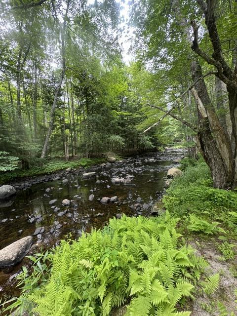 286 Upper Hostile Valley Road Liberty, ME 04949 - Photo 4 of 14 IMG_0794