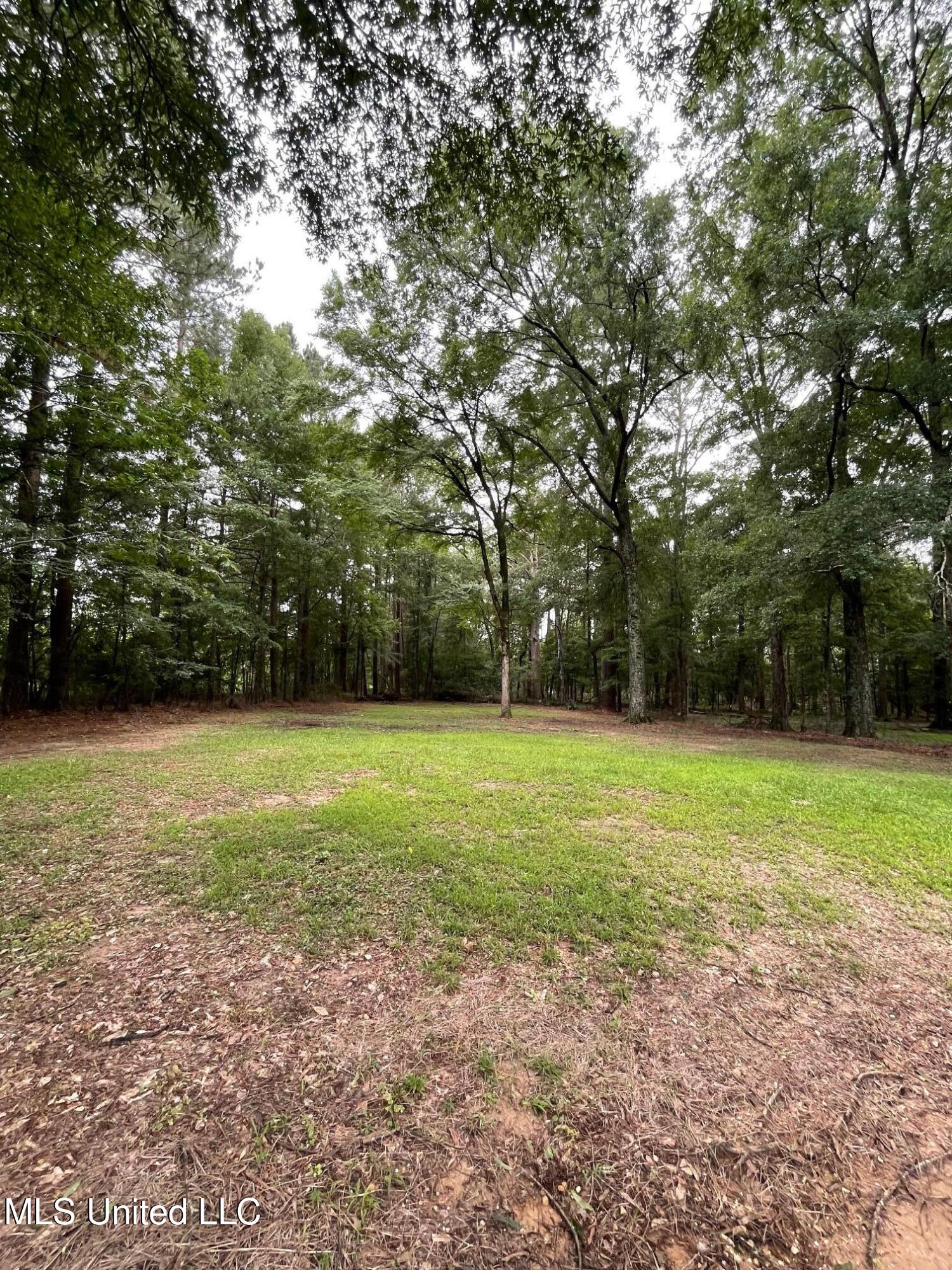 281 Thomasville Road Florence, MS 39073 - Photo 5 of 28 IMG_6884