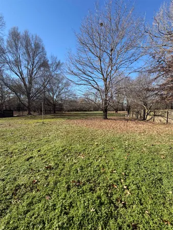 a view of a yard with large trees