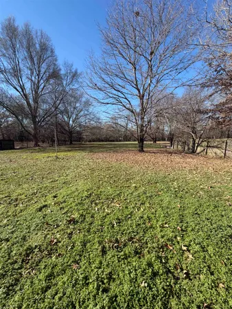 a view of a yard with a tree