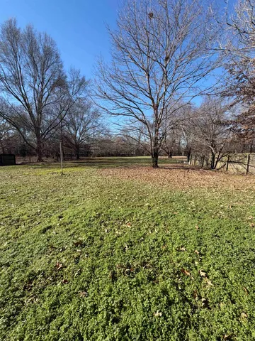 a view of a yard with a tree
