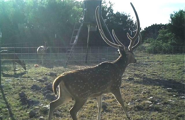 a close view of sink