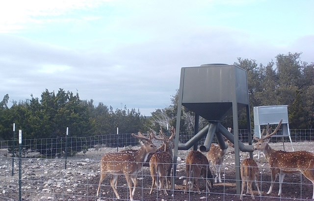 Lot 2 Hwy 55 Rocksprings Tx 78880 Rocksprings, TX 78880 - Photo 11 of 12 a terrace of a house with outdoor seating