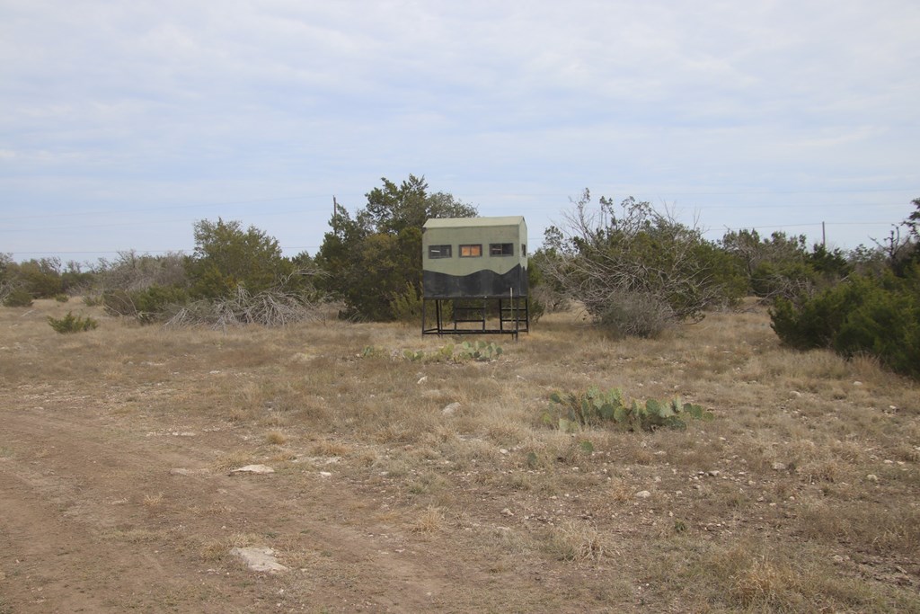 Lot 2 Hwy 55 Rocksprings Tx 78880 Rocksprings, TX 78880 - Photo 12 of 12 a view of a big yard with trees in the background