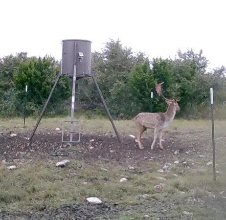 $349,000 | Lot 2 Hwy 55 Rocksprings Tx 78880, Rocksprings, TX 78880