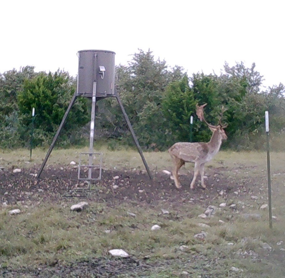 Lot 2 Hwy 55 Rocksprings Tx 78880 Rocksprings, TX 78880 - Photo 3 of 12 a view of a outdoor space