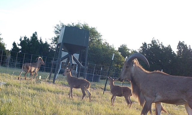 Lot 2 Hwy 55 Rocksprings Tx 78880 Rocksprings, TX 78880 - Photo 5 of 12 a view of an chairs and tables in the patio