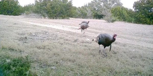 $349,000 | Lot 2 Hwy 55 Rocksprings Tx 78880, Rocksprings, TX 78880