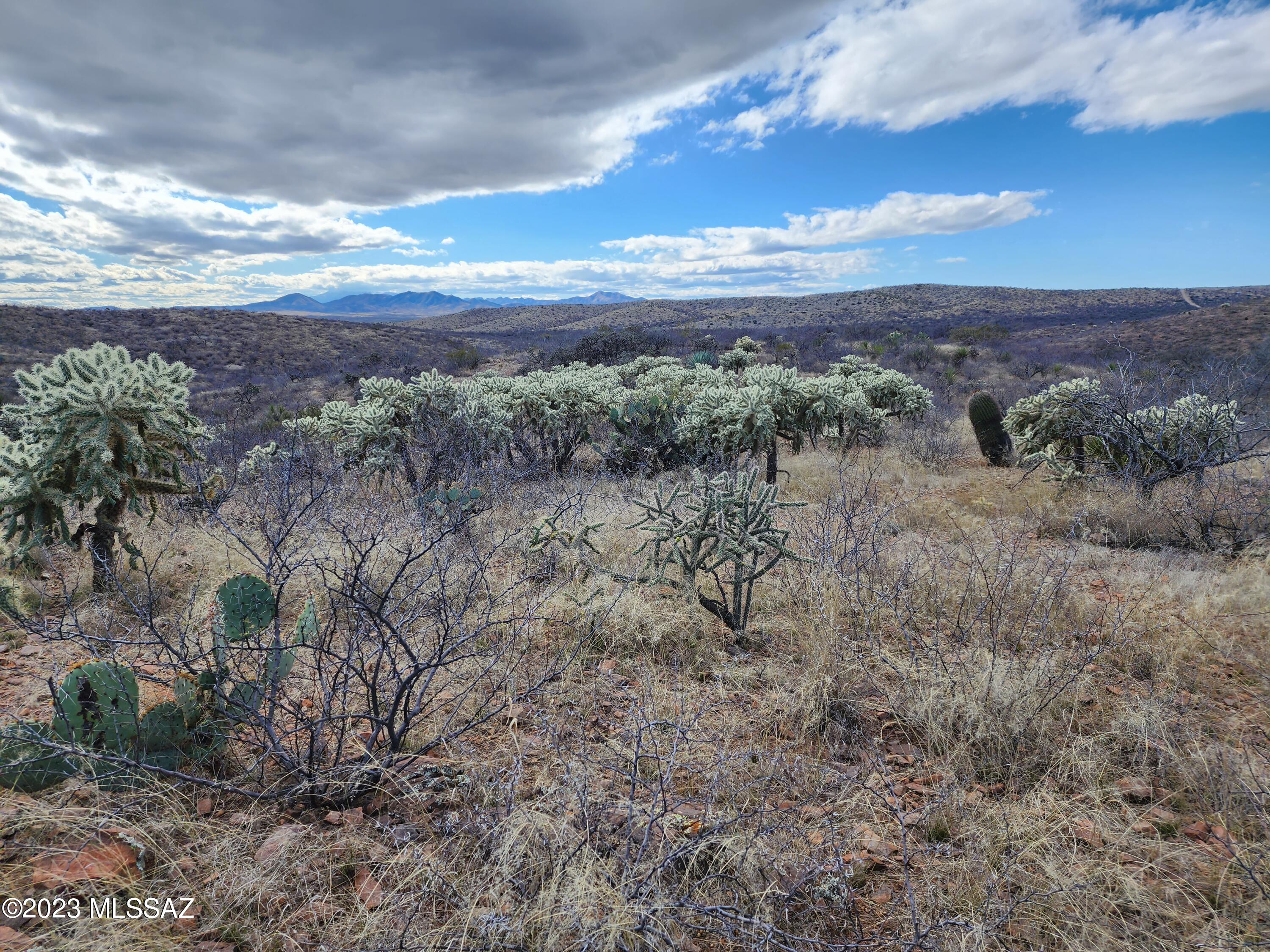 13791 South Bell Road Benson, AZ 85602 - Photo 24 of 39 Gallery Image 24