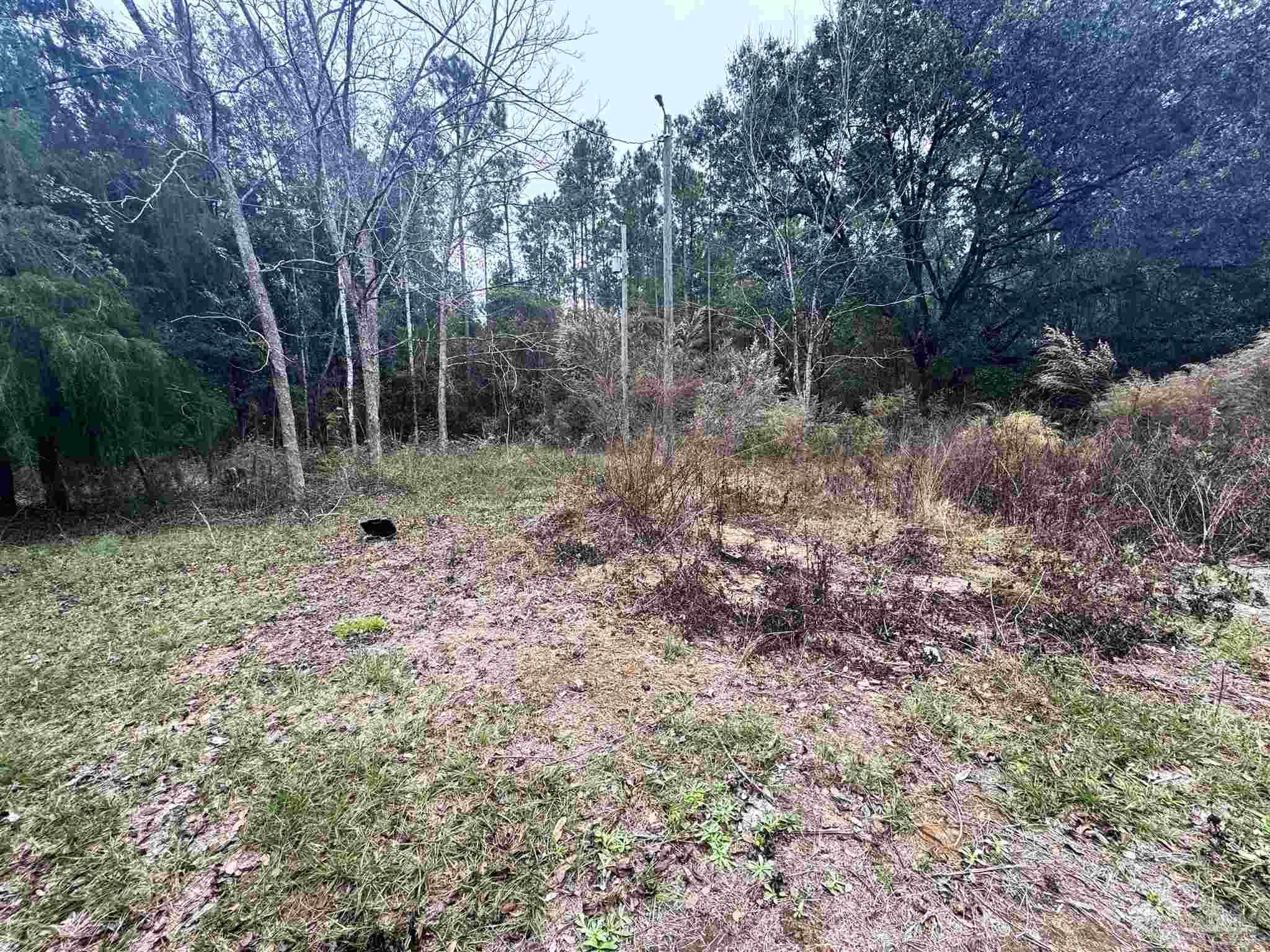 9985 Paws Road Milton, FL 32570 - Photo 7 of 19