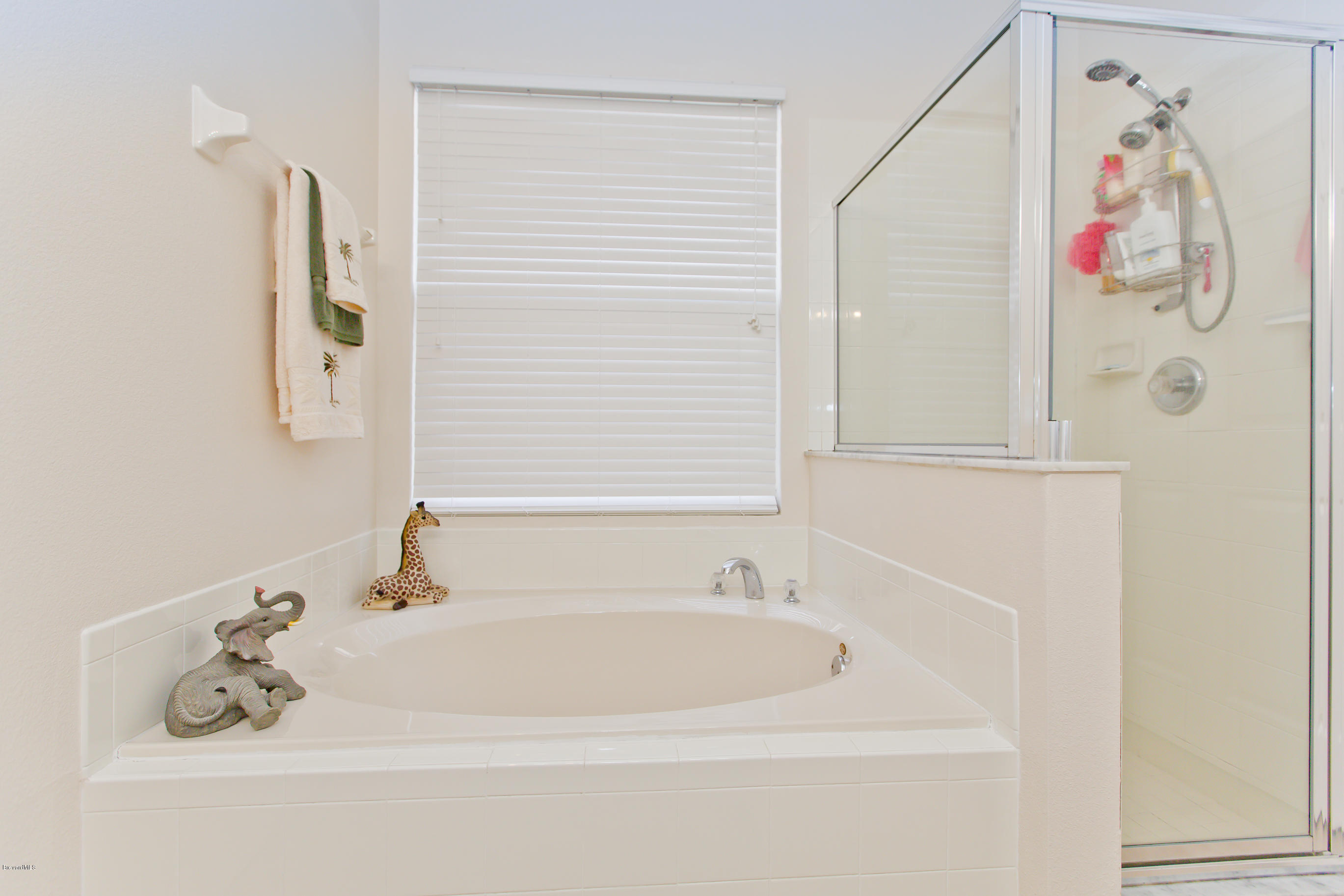 973 Riviera Point Drive Rockledge, FL 32955 - Photo 16 of 20 Master Bath