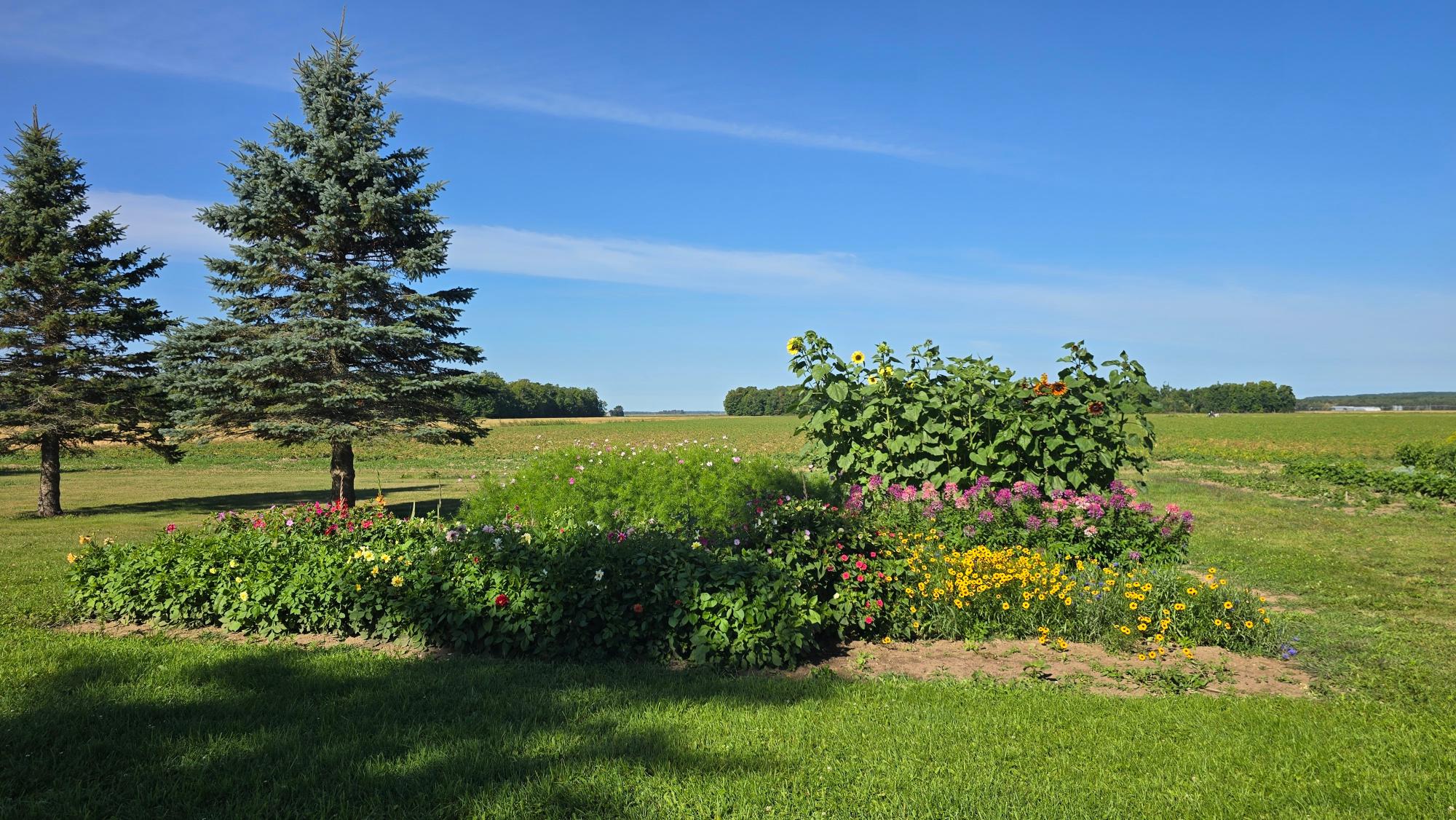 N5516 Polar Road Bryant, WI 54418 - Photo 42 of 53 Gallery Image 42