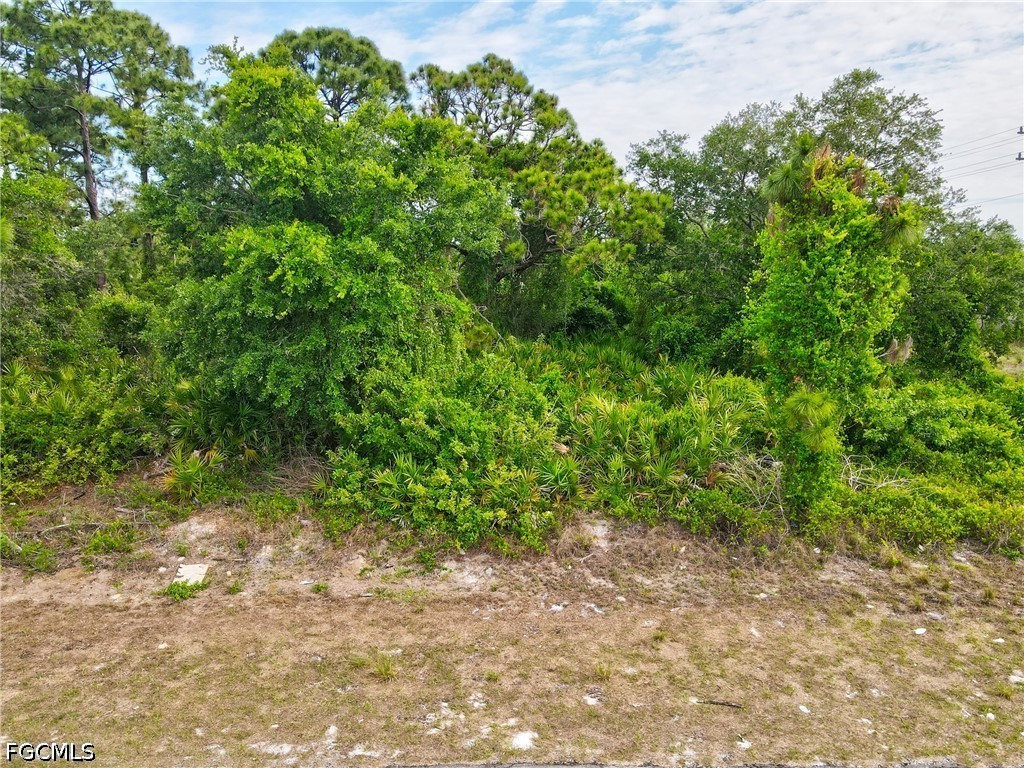 3104 47th Street Southwest Lehigh Acres, FL 33976 - Photo 11 of 11