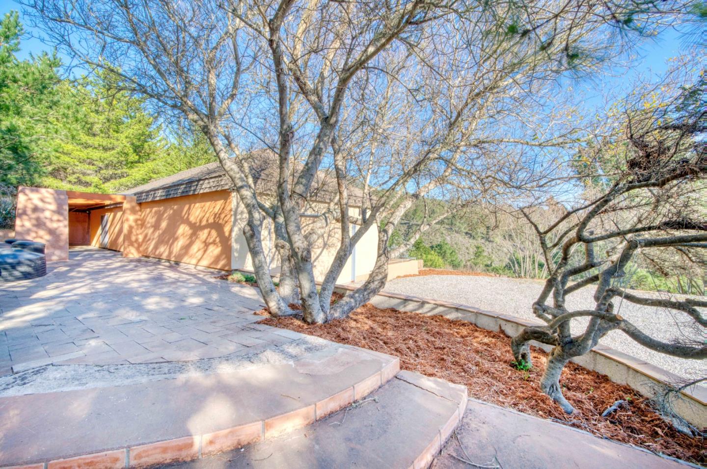 775 Alta Vista Road Montara, CA 94037 - Photo 24 of 27 a view of yard with large trees