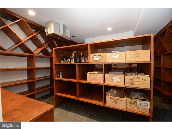 237 Ravenscliff Road Wayne, PA 19087 - Photo 23 of 25 Wine Cellar