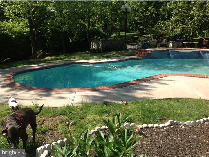 237 Ravenscliff Road Wayne, PA 19087 - Photo 25 of 25 Pool