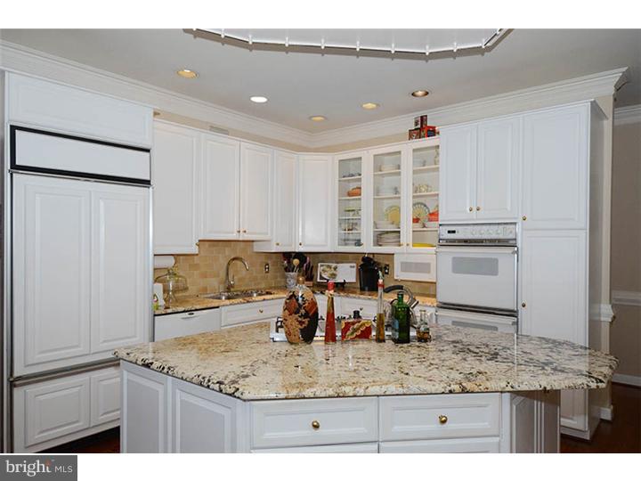 237 Ravenscliff Road Wayne, PA 19087 - Photo 7 of 25 Kitchen