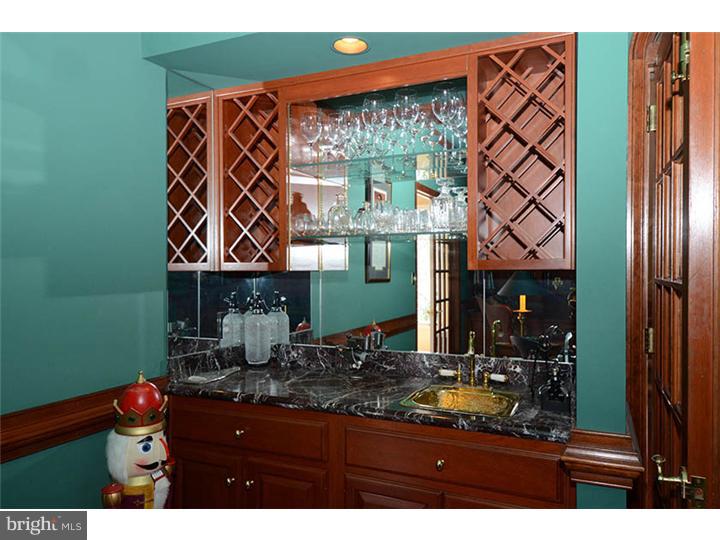 237 Ravenscliff Road Wayne, PA 19087 - Photo 10 of 25 Wet Bar