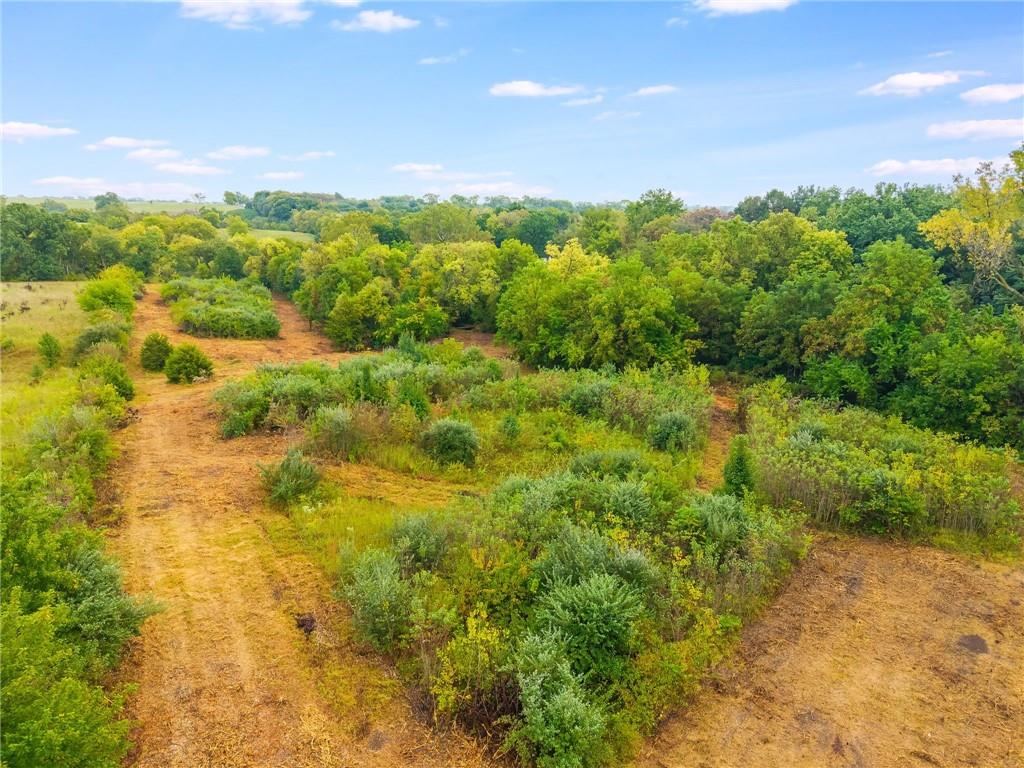 8815 Nebo Hills Road Liberty, MO 64068 - Photo 9 of 10