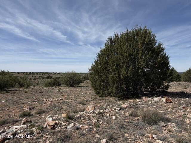 363- Via Dolorosa Road Seligman, AZ 86337 - Photo 4 of 10 IMG_1078