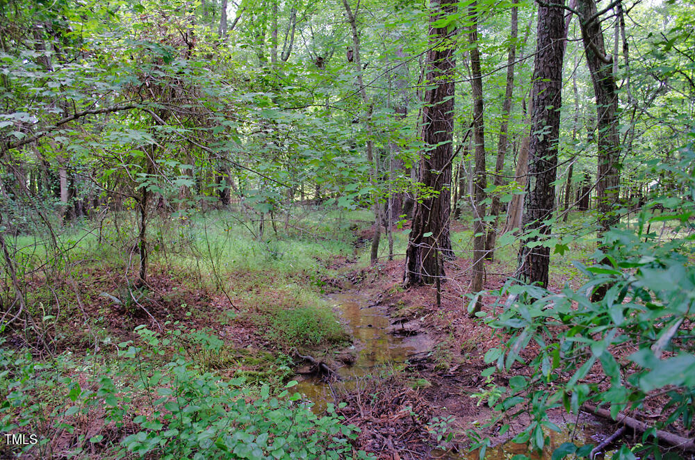4070 Range Road Stem, NC 27581 - Photo 16 of 26 DSC_0035