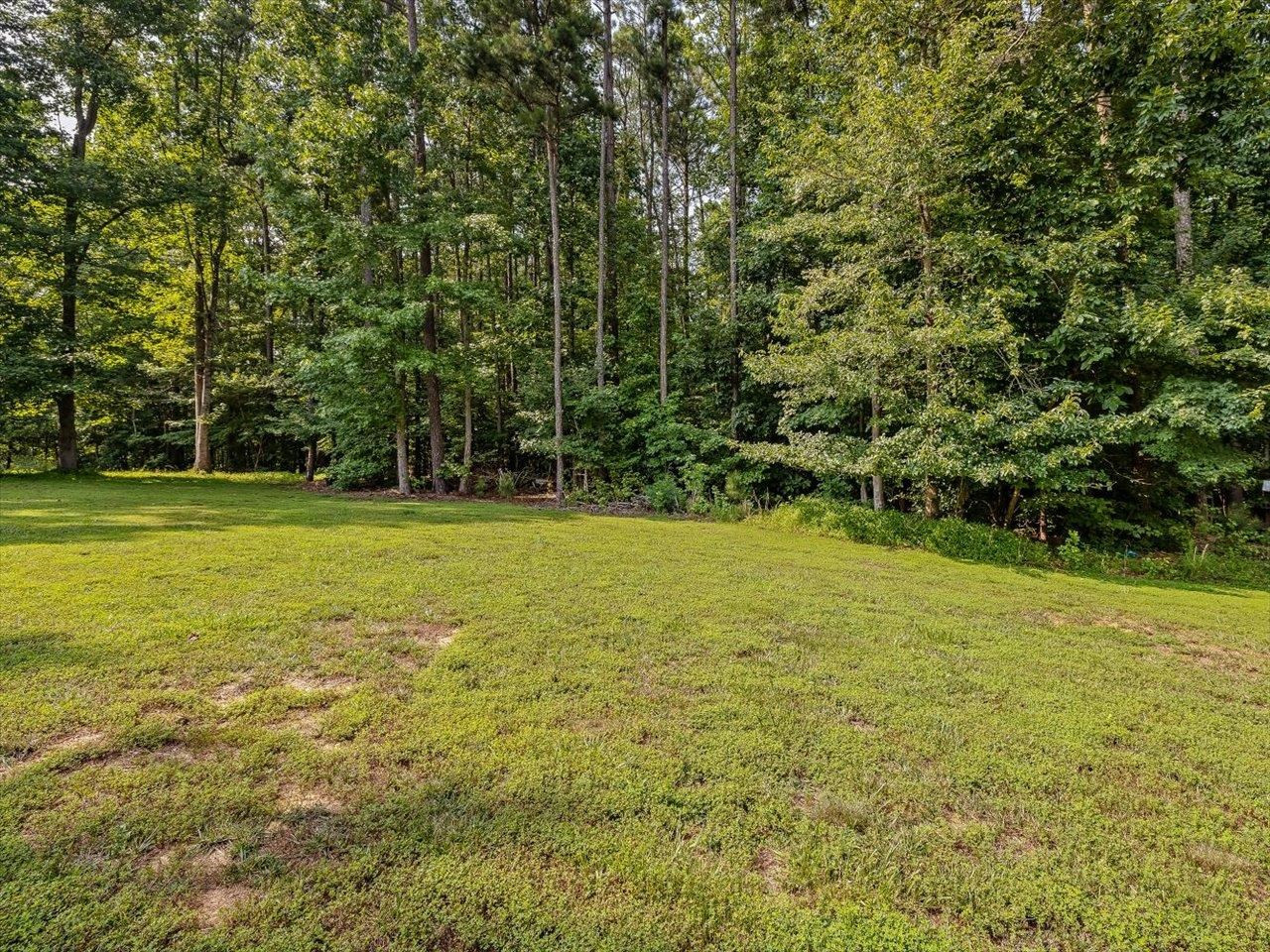 258 Punch Hill Farm Road Rougemont, NC 27572 - Photo 52 of 58 Photo 52
