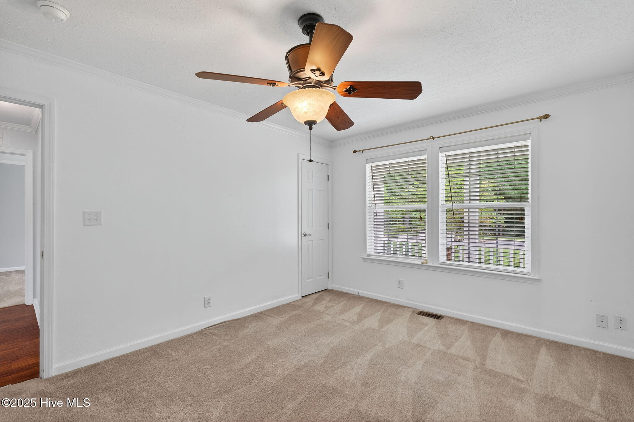 370 Hill Lane Road Eure, NC 27935 - Photo 23 of 48 24-web-or-mls-370-hill-lane-rd