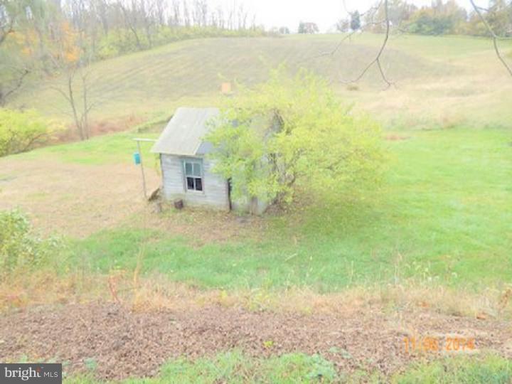 224 Steely Road Reading, PA 19608 - Photo 3 of 14 Back Yard