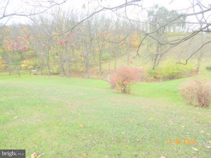 224 Steely Road Reading, PA 19608 - Photo 4 of 14 Back Yard