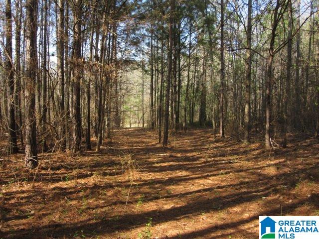 229 County Road, Unit 29 Thorsby, AL 35171 - Photo 9 of 23