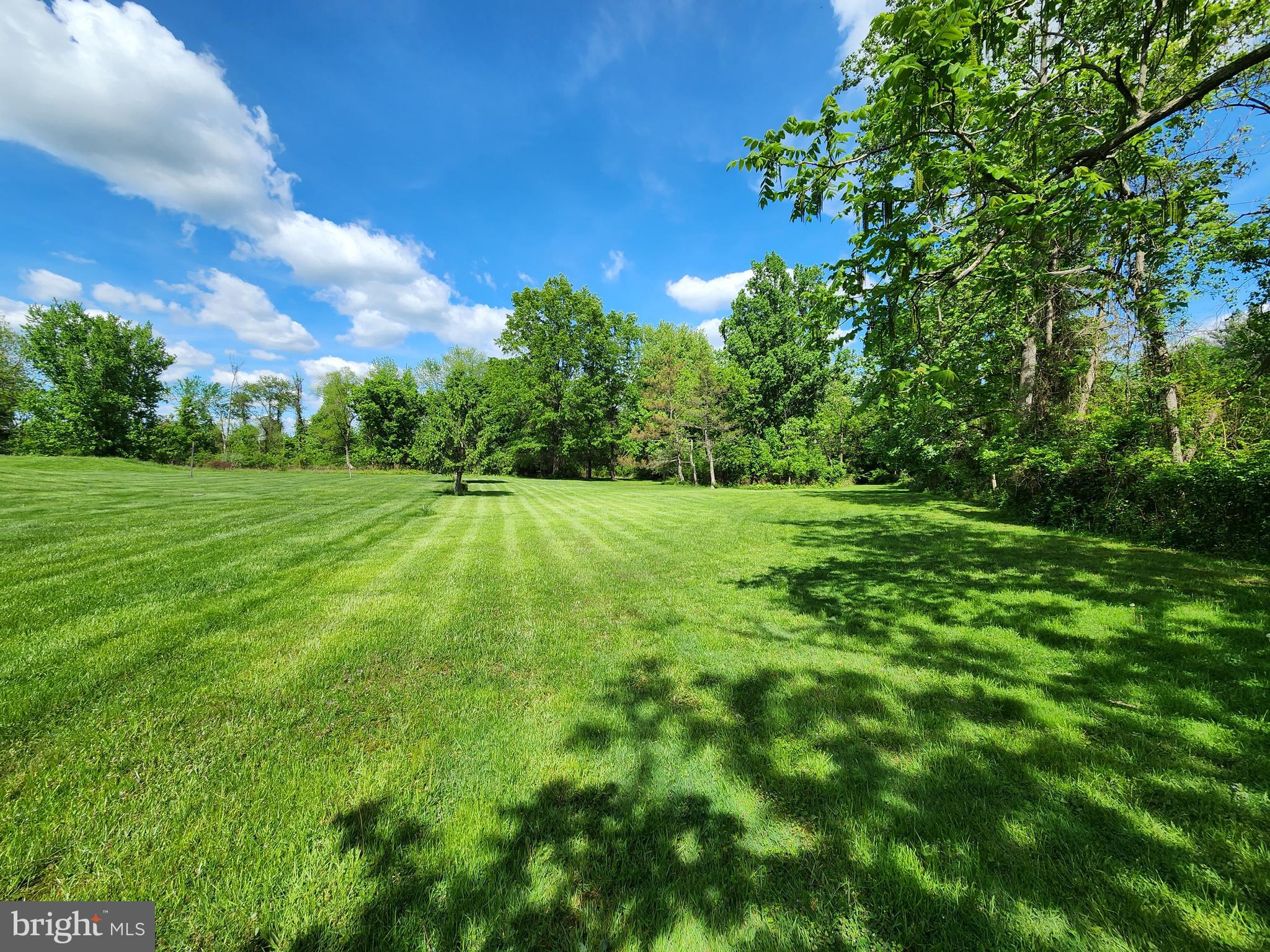 1037 Siddonsburg Road Lewisberry, PA 17339 - Photo 44 of 61 a view of a grassy field with trees in the background