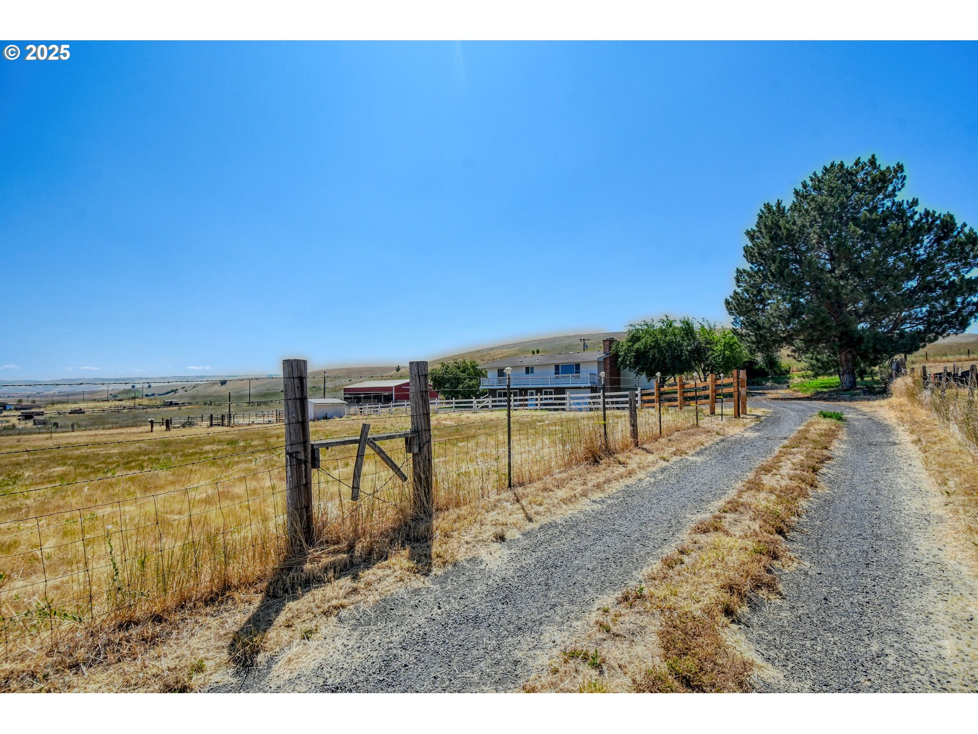 45678 Gopher Flats Pendleton, OR 97801 - Photo 6 of 48