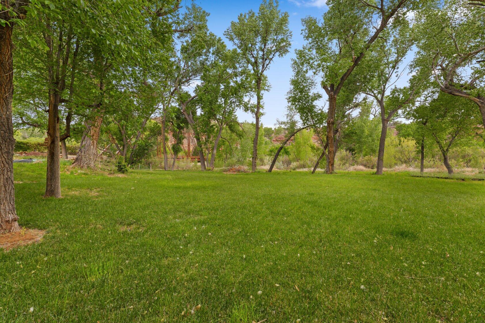 98 South Bridge Road Rockville, UT 84763 - Photo 57 of 80 Backyard - Mature Trees, Riverfront