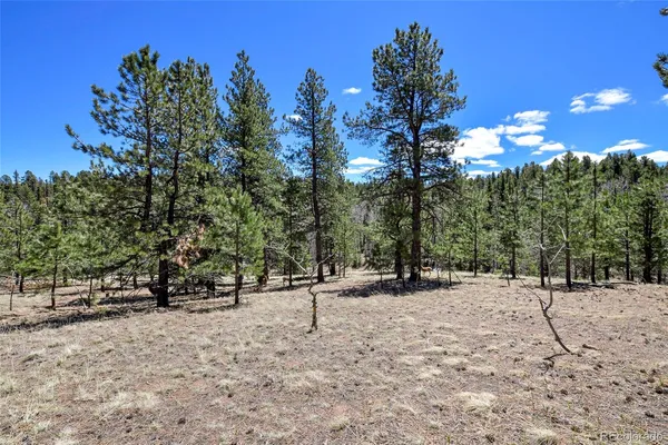 a view of outdoor space with trees