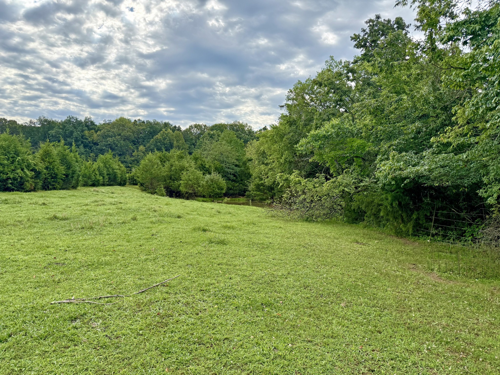 0 Gosnell Road Franklin, KY 42134 - Photo 3 of 7