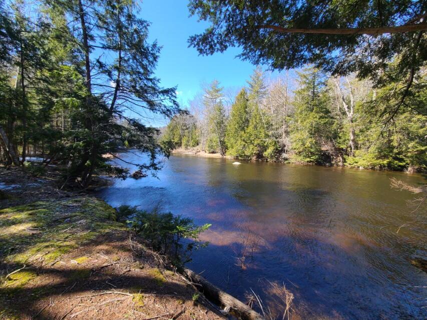 Lot #17 Mills Road Whitefield, ME 04353 - Photo 8 of 16 9 (Custom)