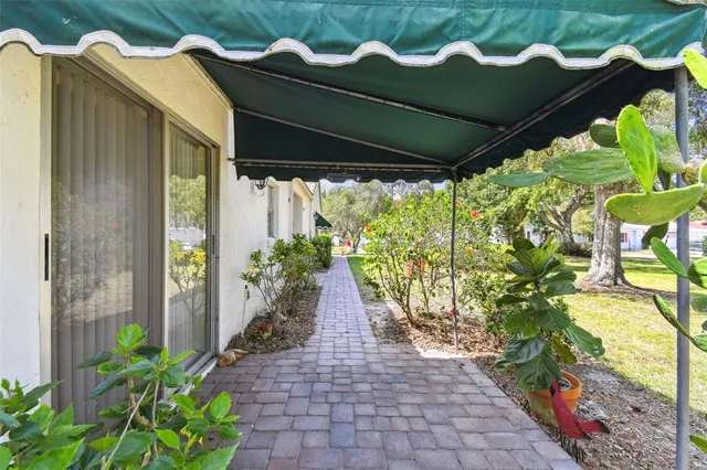 a view of a white house with a yard potted plants and large tree