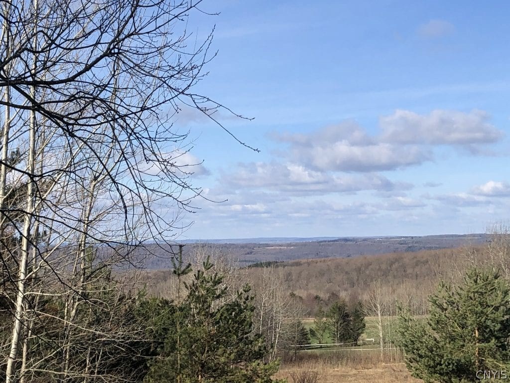 0 Grouse Road Wayland, NY 14572 - Photo 1 of 1
