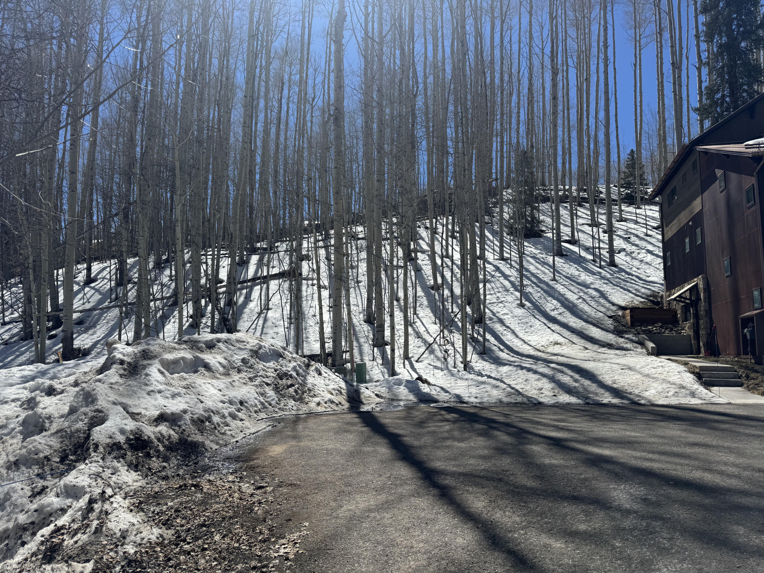 304 Adams Ranch Road Mountain Village, CO 81435 - Photo 11 of 11 IMG_0211